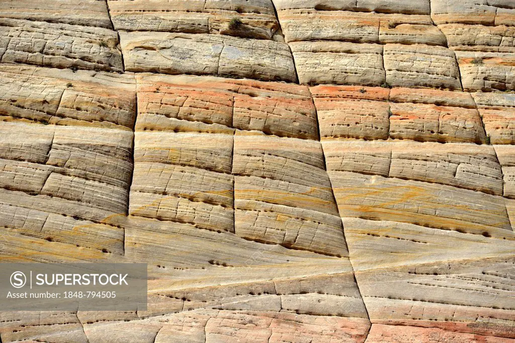 Sandstone structure of Checkerboard Mesa