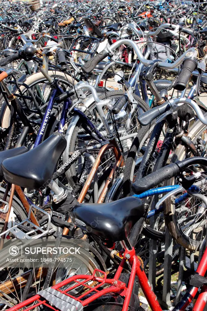 Many bicycles