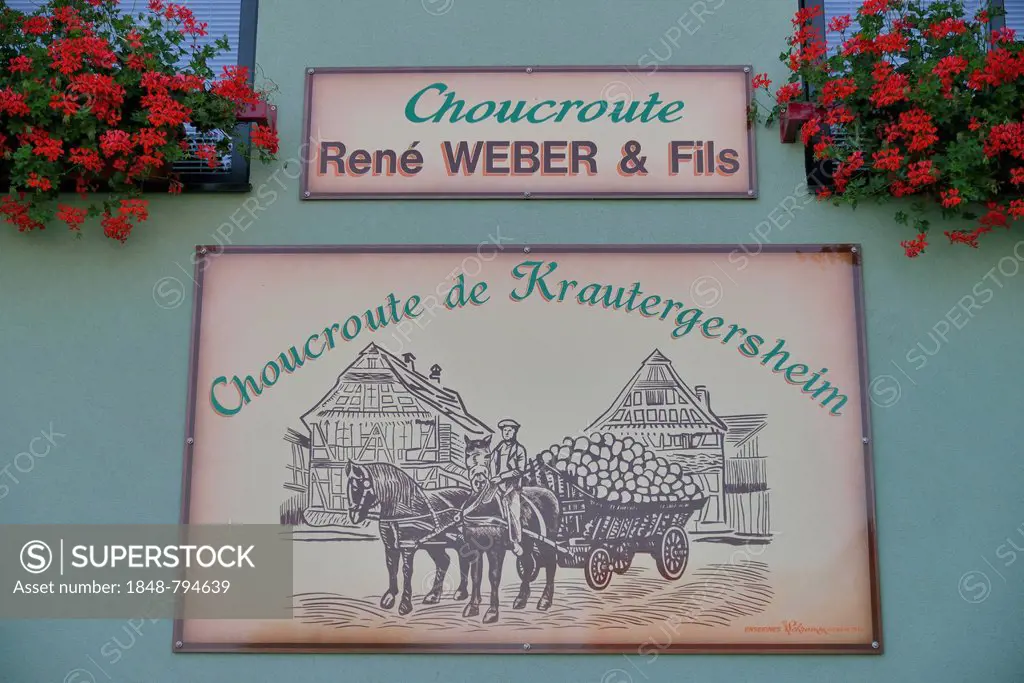 Sign on the sauerkraut factory of René Weber, Route de la Choucroute, Sauerkraut Route