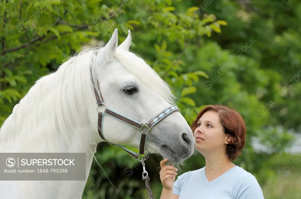 Woman with a Connemara stallion