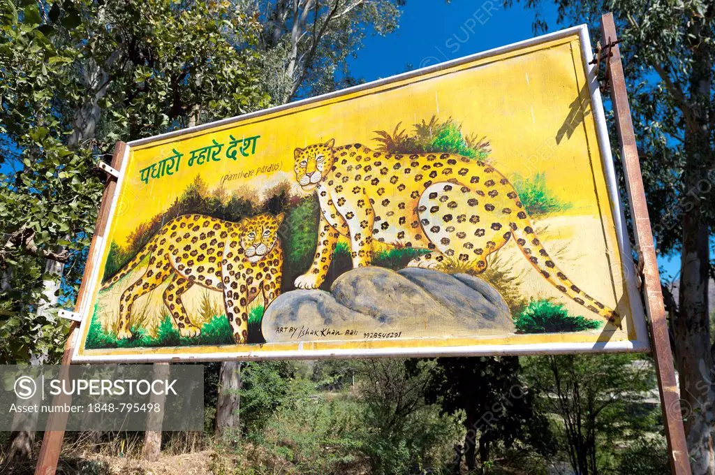 Illustration of two Indian Leopards (Panthera pardus fusca) on a sign