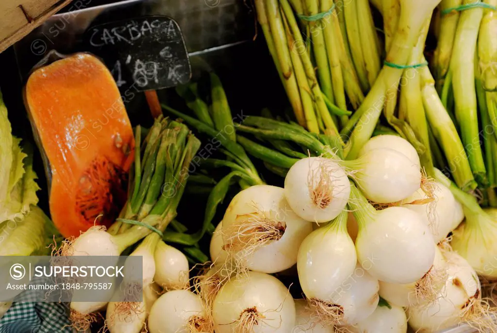 Vegetables, onions, pumpkin or squash, green onions, onion leeks, covered market, Mercat de la Boqueria