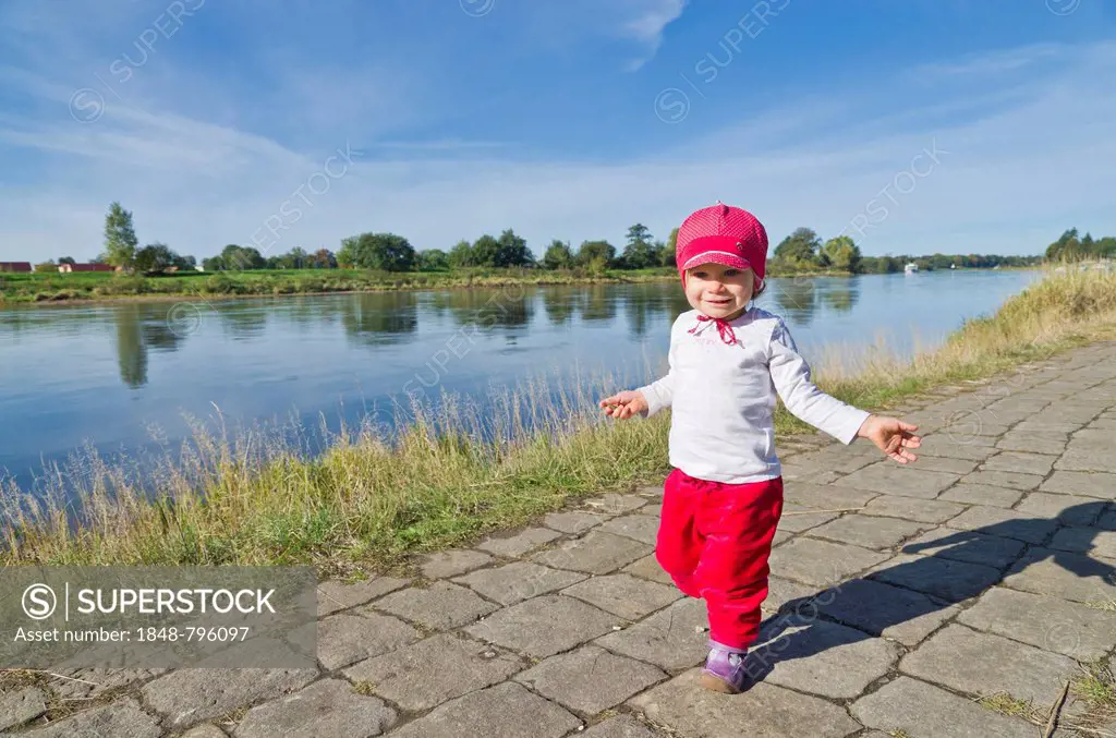 Little girl, 14 months, doing her first steps on a footpath on a riverbank along the Elbe river, Dresden, Saxony, Germany, Europe