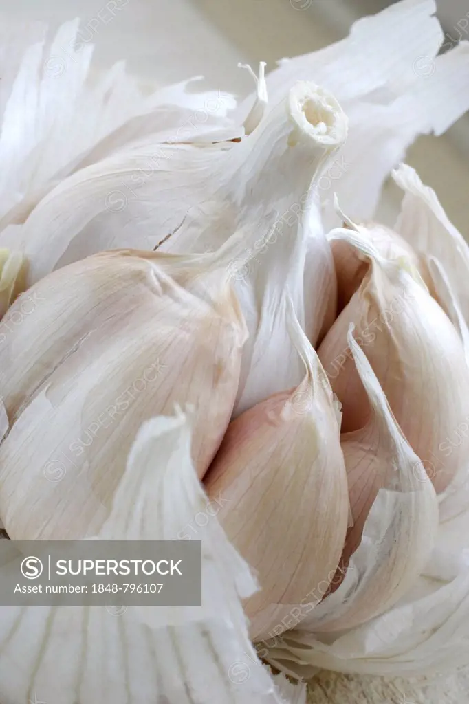 Garlic, garlic cloves