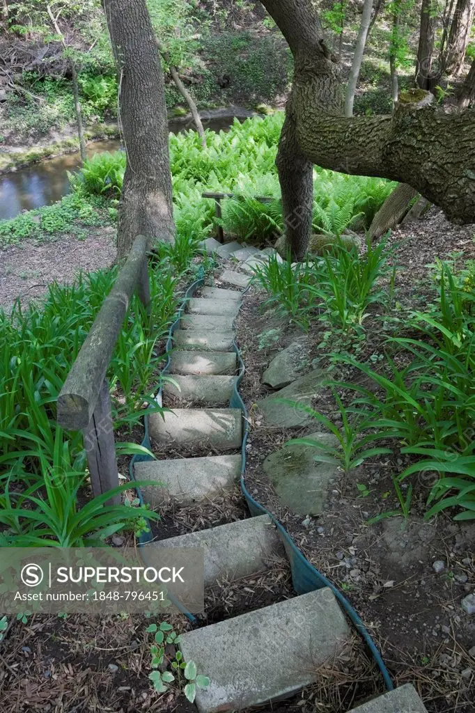 A set of steps designed with concrete paving slabs leads down to a patch of ferns in a landscaped backyard garden in spring, Quebec, Canada - This ima...