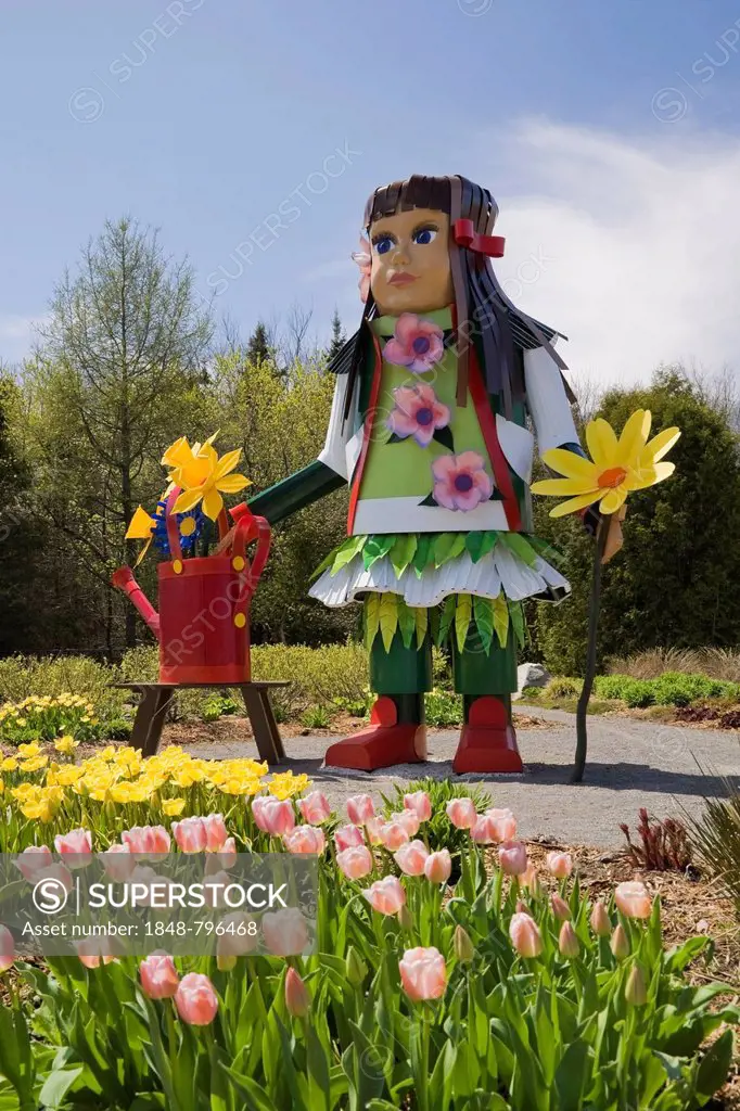 A tall native girl like doll stands next to a patch of pink and yellow tulips in the Greeting garden at the Route des Gerbes d'Angelica garden at spri...