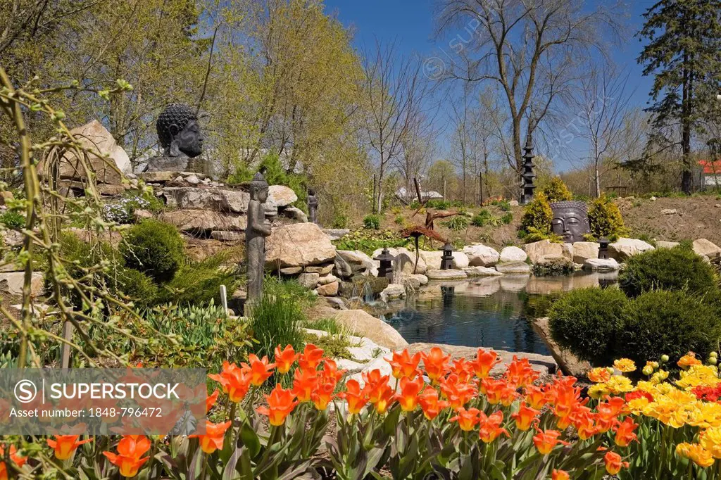 The ornamental pond in the Zen garden at springtime in the Route des Gerbes d'Angelica garden in Mirabel, Laurentians, Quebec, Canada - This image is ...