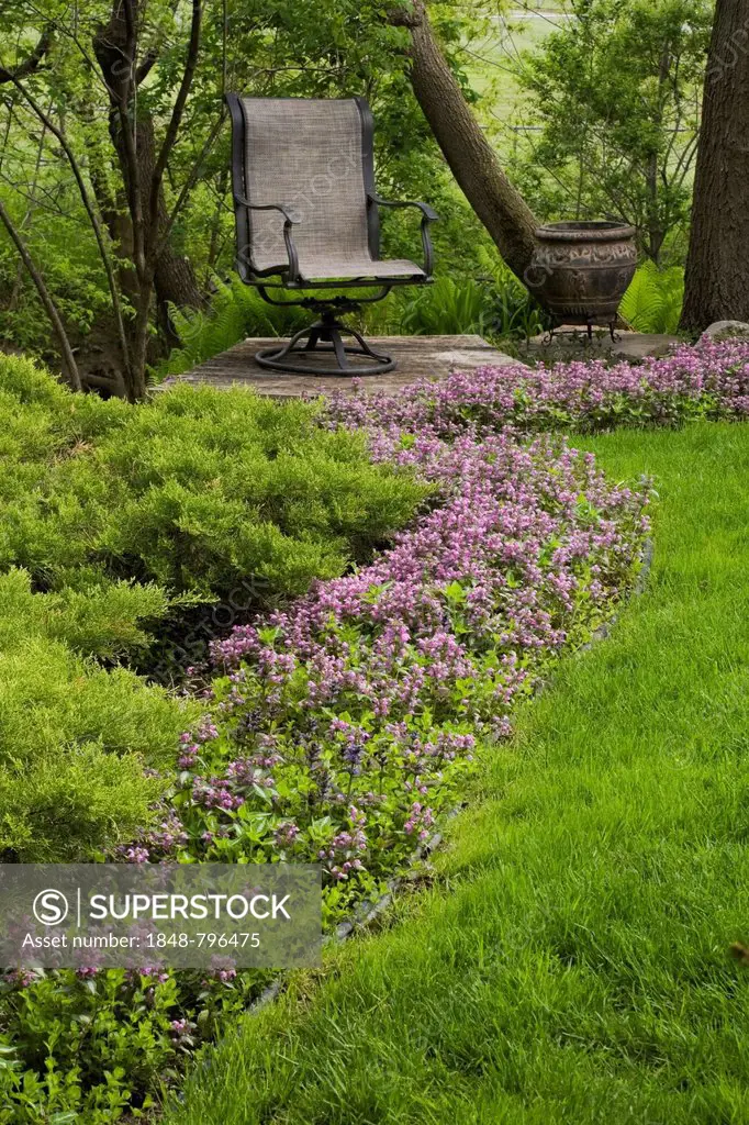 A row of purple flowers in a flower bed lead to a chair in a landscaped backyard garden in spring, Quebec, Canada - This image is property released fo...