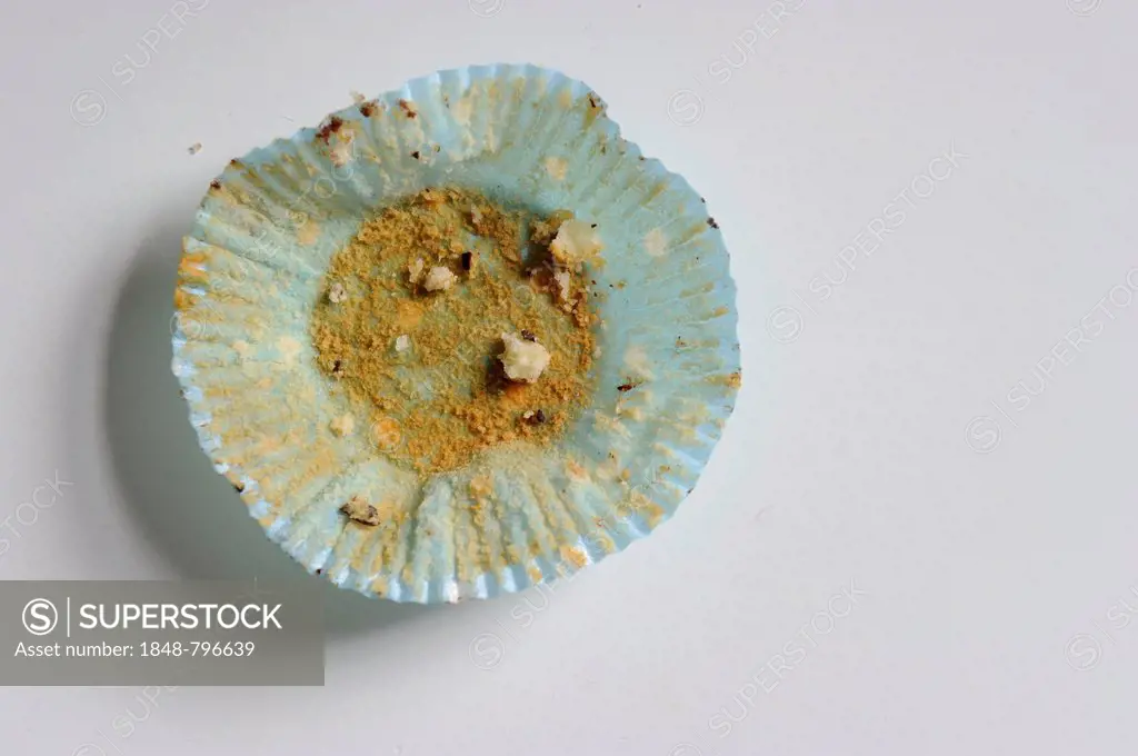 Paper and crumbs of a muffin