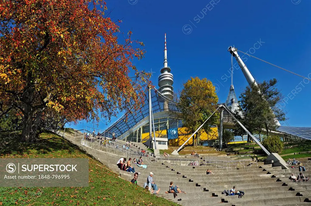 Olympiapark gardens with apple trees (Malus spp.), Pavilion-roof of the Olympic Hall, the Theatron and the television tower, Munich, Bavaria, Germany,...