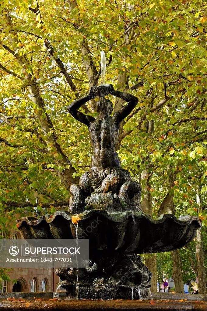 Triton Fountain, 1689, from Johann Leonhard Bromig the Elder, copy of the Baroque fountain by Bernini in Rome, in front of Plane Trees or Sycamores (P...