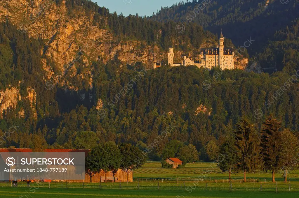 Schloss Neuschwanstein castle, Fuessen, Allgaeu, Romantic Road, Romantische Strasse, Bavaria, Germany, Europe