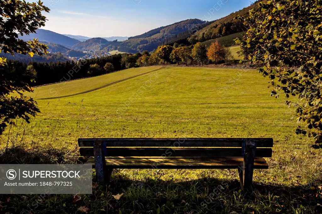 Hiking trail, park bench above the town of Oberkirchen, Sauerland, North Rhine-Westphalia, Germany, Europe