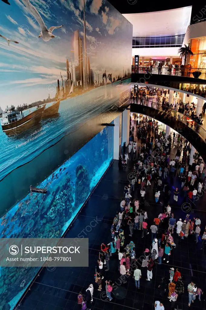 Dubai Aquarium, Dubai Mall shopping centre, United Arab Emirates, Middle East, Asia