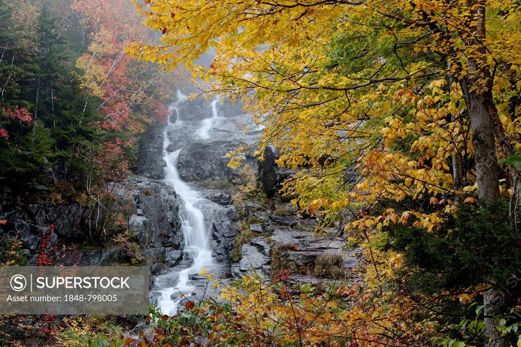 Silver Cascade, White Mountain National Forest, Hart's Location, New Hampshire 03575, USA