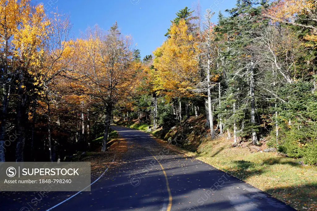 Mount Washington Auto Road in autumn, New Hampshire, USA