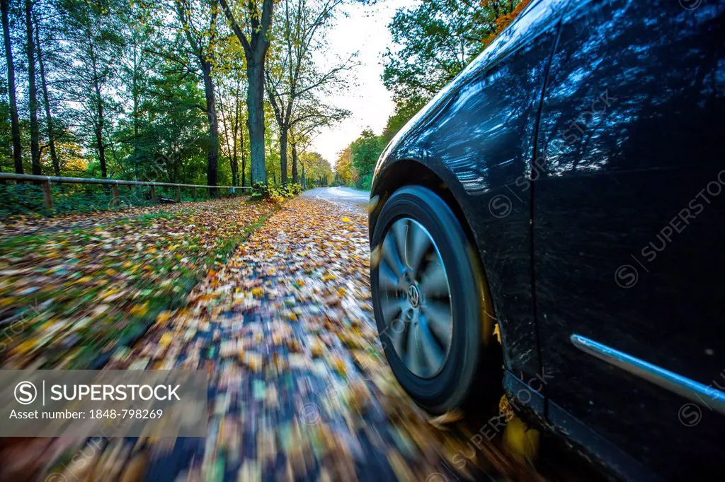 Car driving on a street covered with leaves, in autumn, dangerous driving conditions, danger of accident