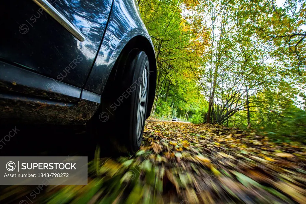 Car driving on a street covered with leaves, in autumn, dangerous driving conditions, danger of accident