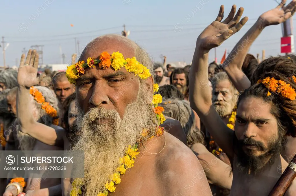 Naked Naga sadhus, holy men, participating in the procession of Shahi Snan, the royal bath, during Kumbha Mela festival