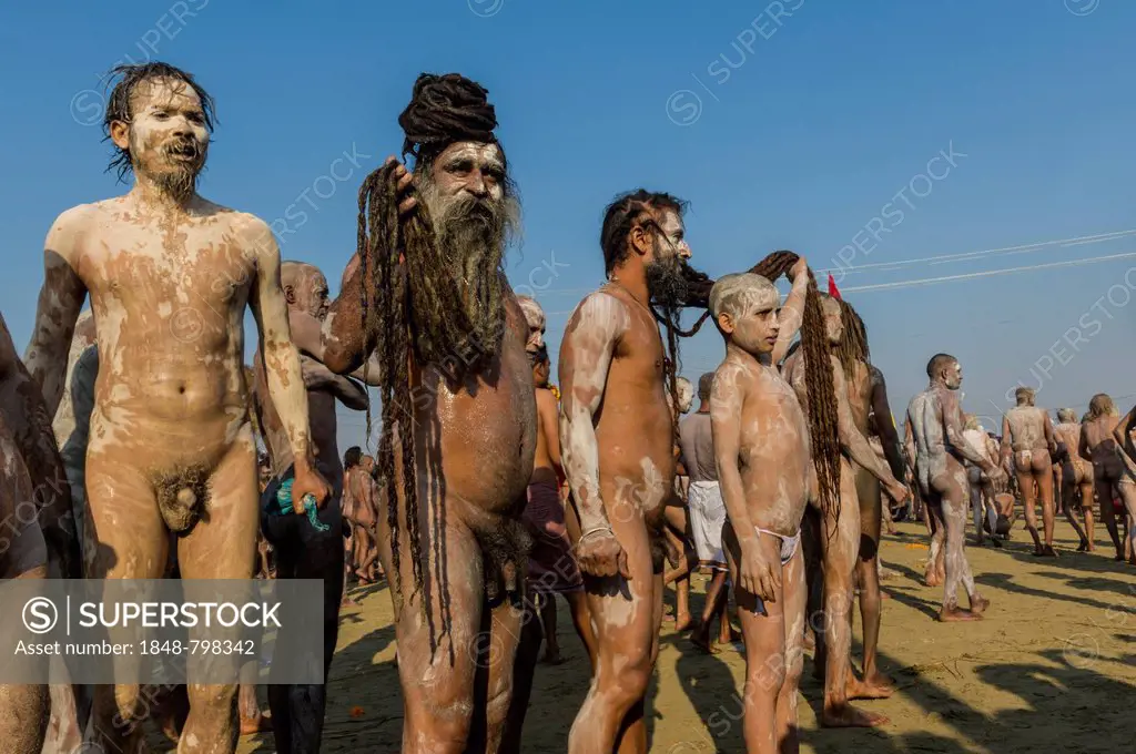 Naked Naga Sadhus, holy men, with ashes on their bodies after Shahi Snan, the royal bath, during Kumbha Mela festival