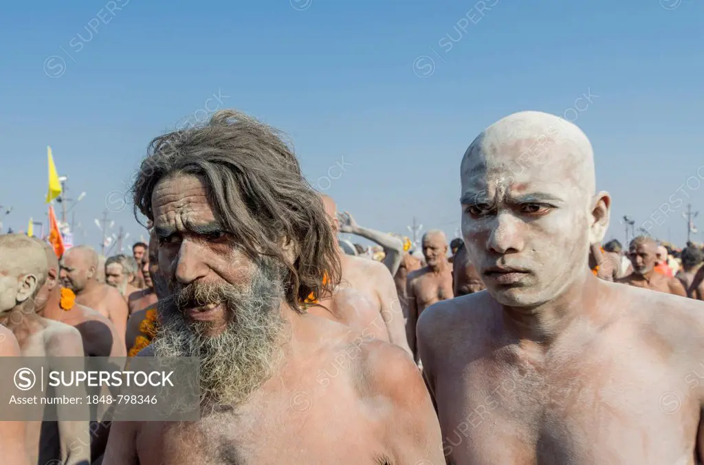 Crowds of naked Naga sadhus, holy men, participating in the procession of Shahi Snan, the royal bath, during Kumbha Mela festival
