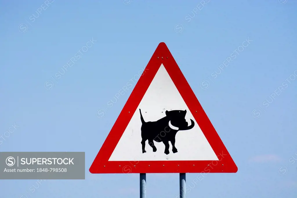 Warning sign, caution warthogs