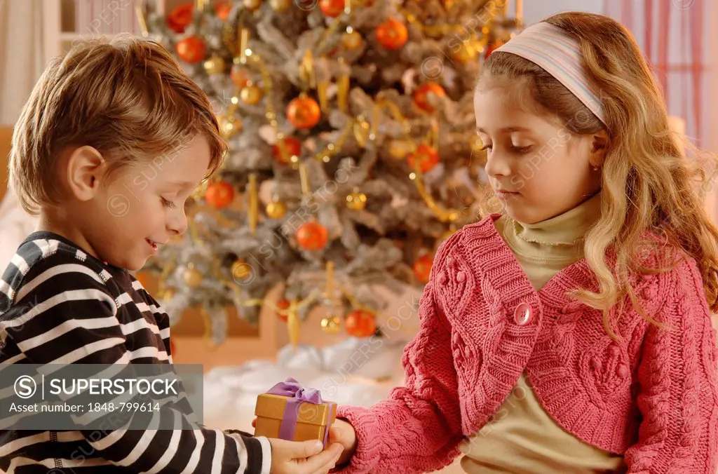 Girl giving a boy a Christmas gift in front of a Christmas tree