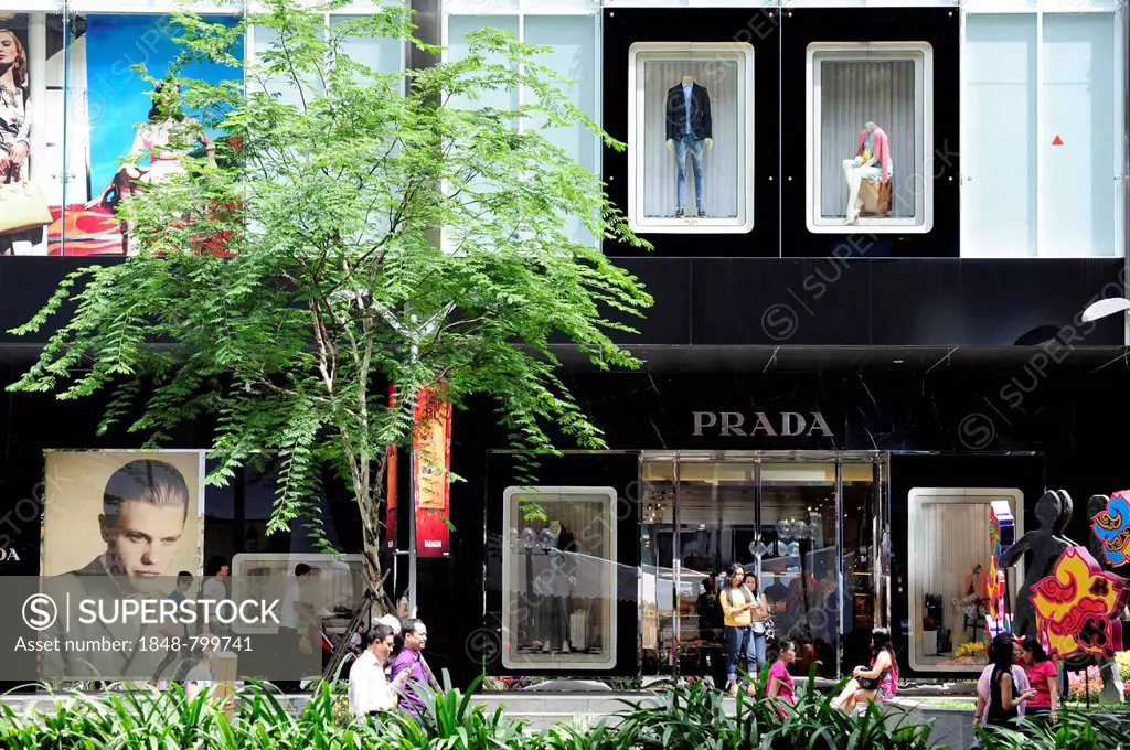Shop windows of the Prada store, The Paragon Complex, a modern shopping centre on Orchard Road, Central Area, Central Business District, Singapore, As...