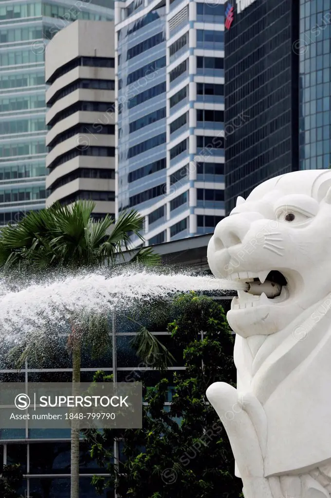 Merlion, a mythical creature spitting water, symbol of the city in Merlion Park, Central Area, Central Business District, Singapore, Asia