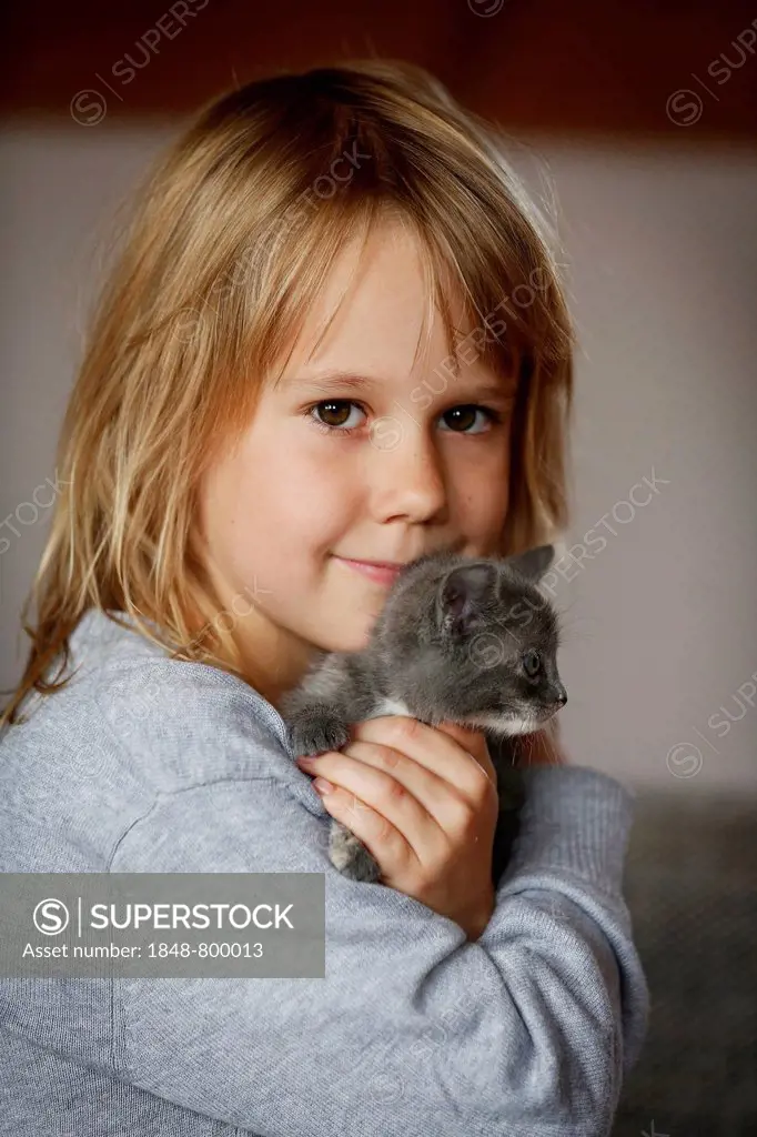 Girl, 7 years, cuddling a kitten, portrait