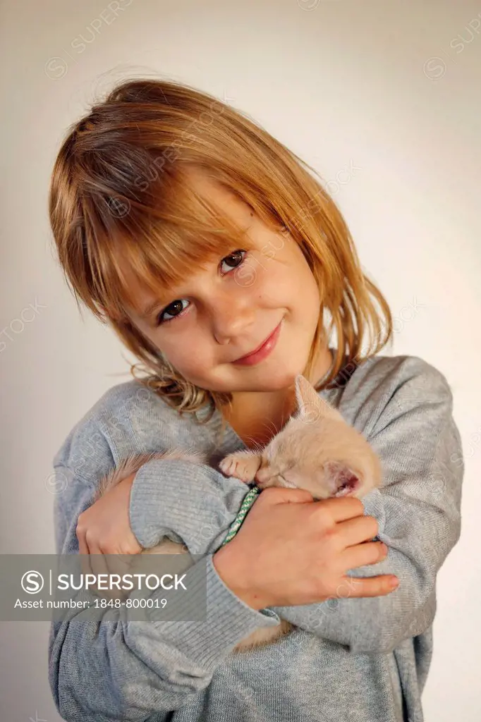 Girl, 7 years, cuddling a kitten, portrait