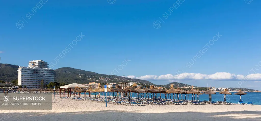 Section of beach near Palma Nova with sunbeds and hotels, Palma Nova, Majorca, Balearic Islands, Spain, Europe