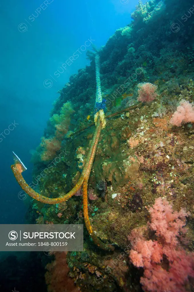 An anchor is hooked into a coral reef, Philippines, Asia