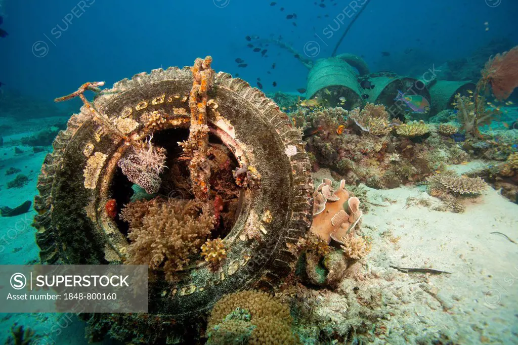 An anchor made of concrete blocks and old barrels in a coral reef, Philippines, Asia