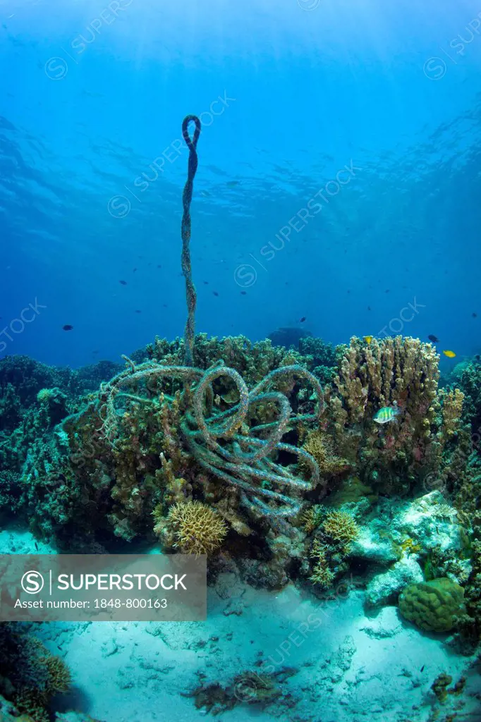 A torn anchor rope at a coral reef, Philippines, Asia
