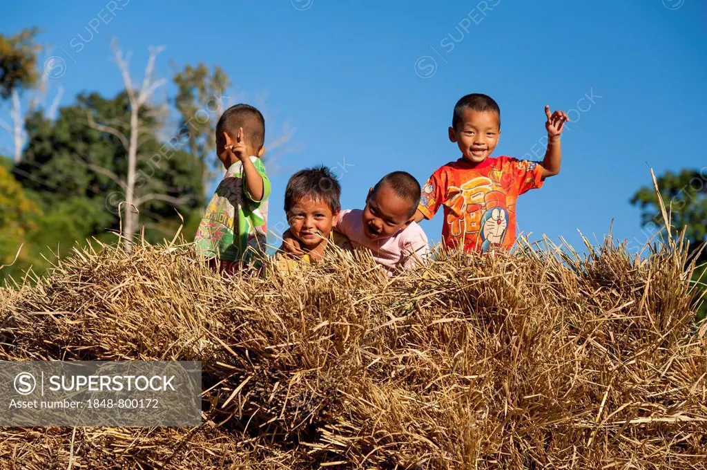 Children playing on a haystack, straw, Soppong or Pang Mapha area, Northern Thailand, Thailand, Asia