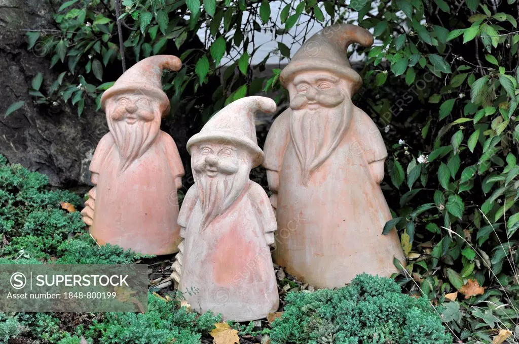 Garden gnomes, vineyard estate, Lauffen am Neckar, Baden-Wuerttemberg, Germany, Europe