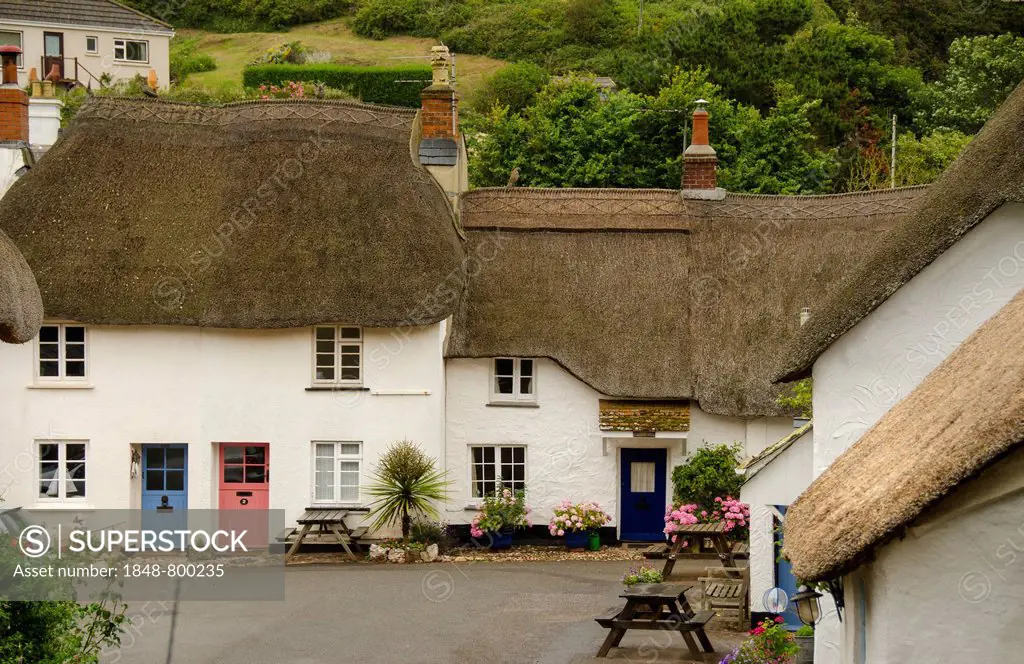 Houses thatched with straw, Hope, Inner Hope, Devon, England, United Kingdom, Europe