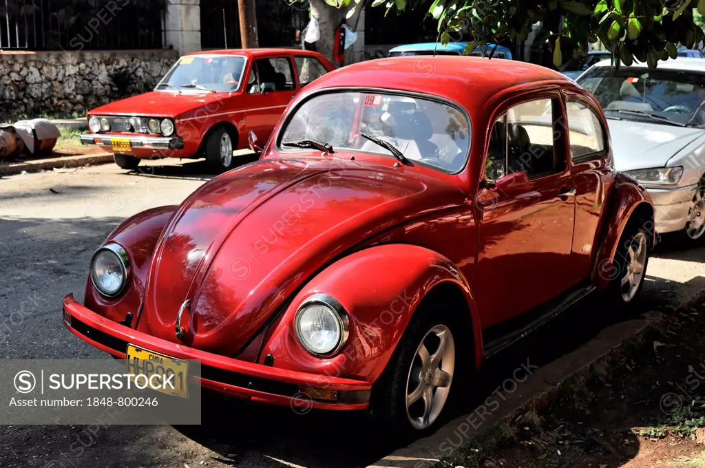 VW Beetle, classic car in the city center of Havana, Centro Habana, Cuba, Greater Antilles, Central America, America