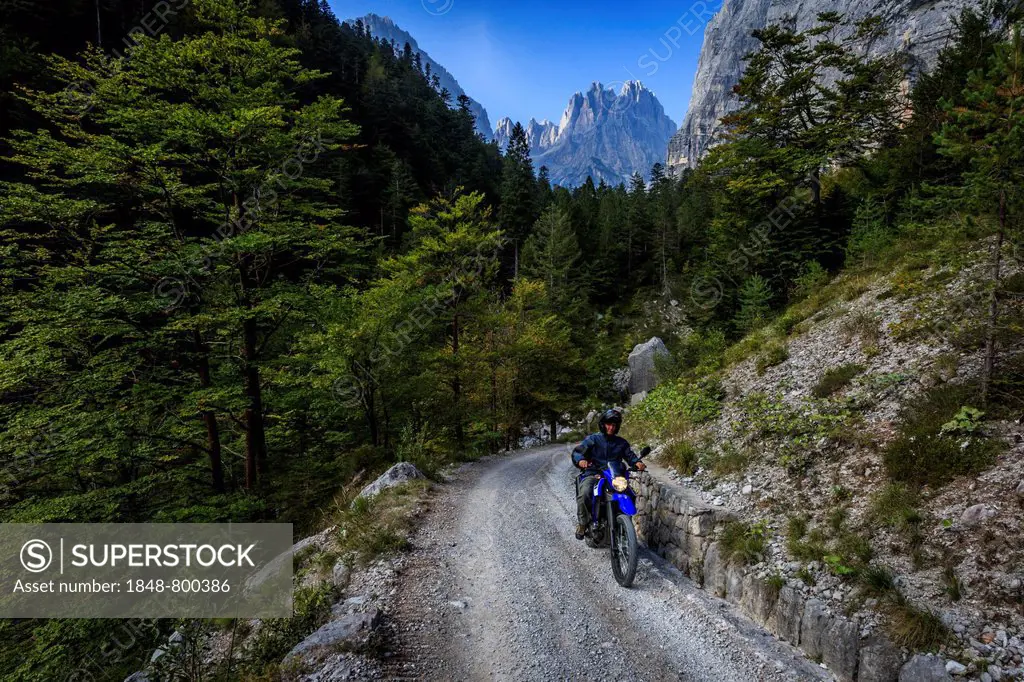 A biker on a small road in the Dolomites near Andalo, Italy, Europe