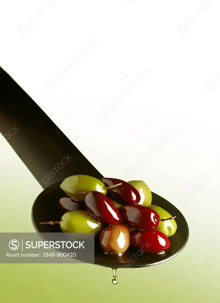 Green and black olives on a spoon with drops of oil