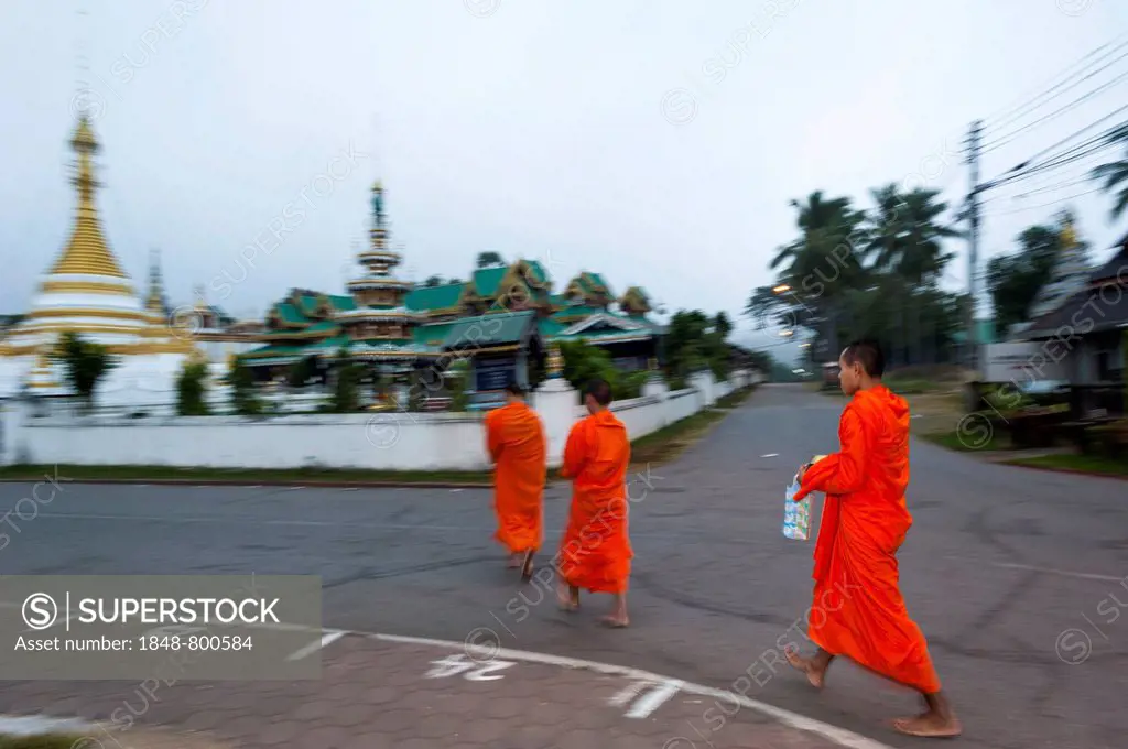 Buddhist monks collecting alms, Temples of Wat Jong Kham and Chong Kham or Wat Jong Klang and Chong Klang, Mae Hong Son, Northern Thailand, Thailand, ...