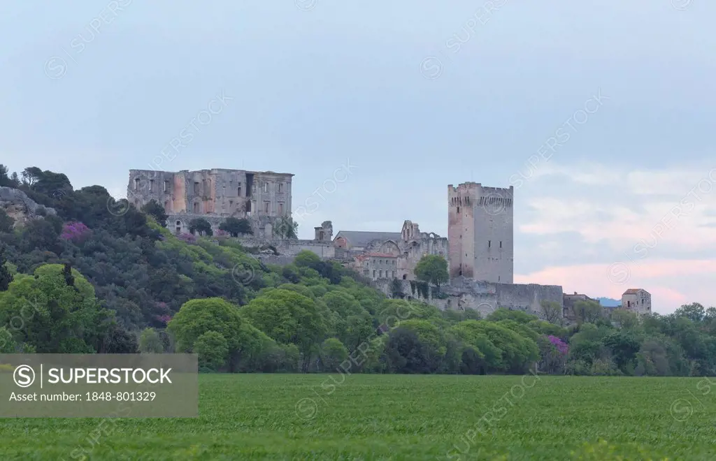 Benedictine monastery, Montmajour Abbey, ruins, near Arles, Département Bouches-du-Rhône, Region Provence-Alpes-Côte dAzur dAzur, France