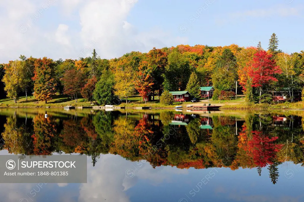 Forest in autumn colours and houses reflected in Galeairy Lake, typical lake and forest landscape of the Canadian Shield, Algonquin Provincial Park, O...