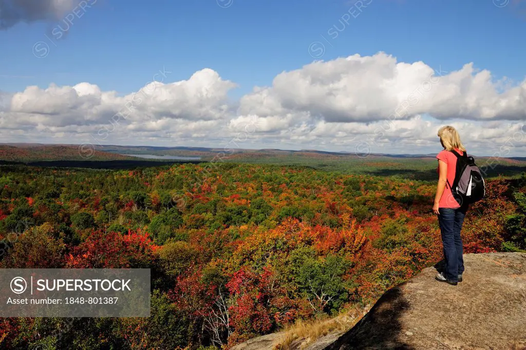 Female hiker standing on a rock overlooking a colourful autumnal forest, Algonquin Provincial Park, Ontario Province, Canada