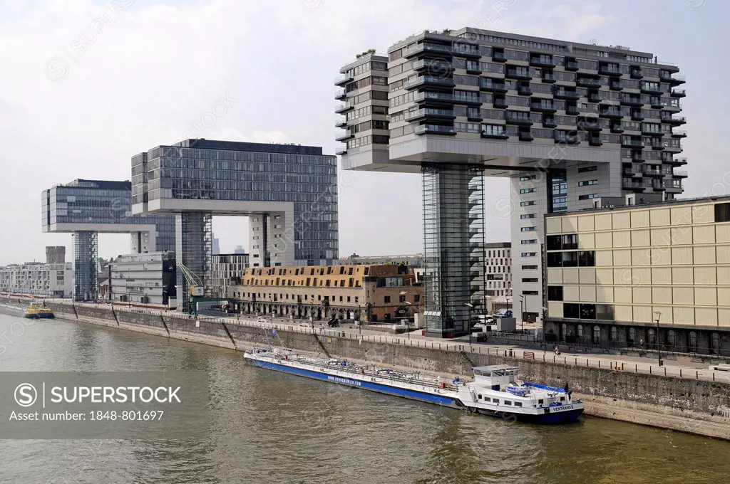 Cargo ship, crane towers, office buildings, residential buildings, Rhine, Rheinauhafen, Cologne, Rhineland, North Rhine-Westphalia, Germany