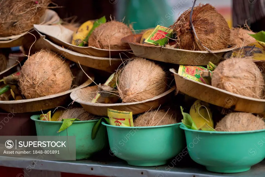 Offering bowls with coconuts, Meenakshi Amman Temple or Sri Meenakshi Sundareswarar Temple, Madurai, Tamil Nadu, India