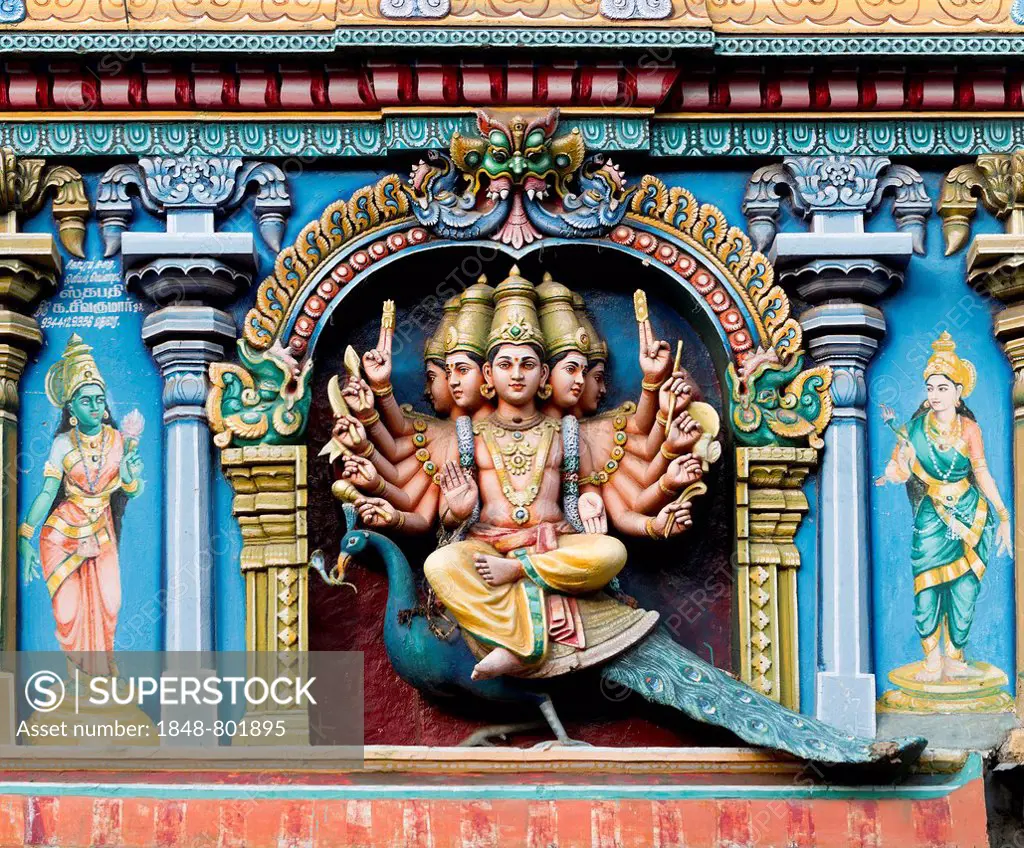 Hindu god Skanda or Murugan, also known as Karttikeya, Subramanya or Kumara with twelve arms and five heads on his mount, the peacock, on a temple wal...
