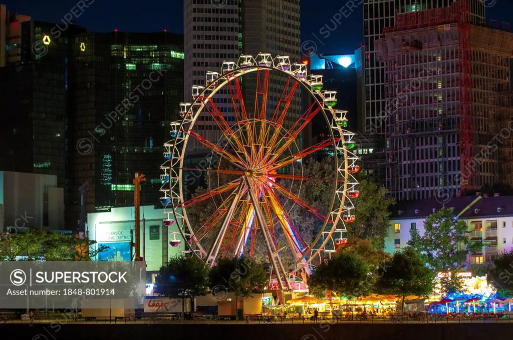 Ferris wheel of the traditional Main Festival, Frankfurt am Main, Hesse, Germany