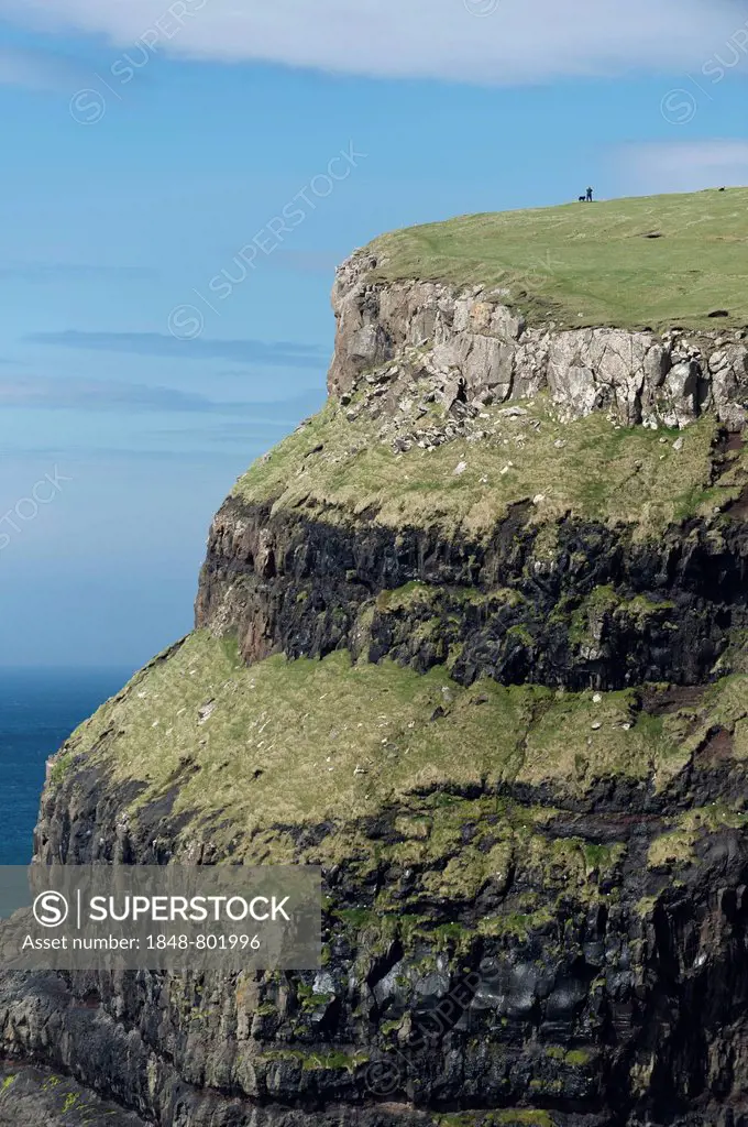 Man with a dog at the top of a cliff, Gásadalur, Vágar, Faroe Islands, Denmark